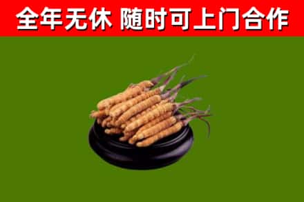 耒阳市烟酒回收冬虫夏草.jpg